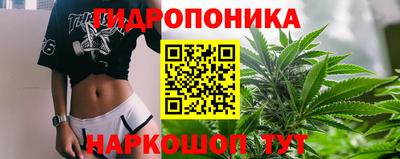 молекула духа Лесосибирск